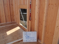 ＩＴＩＫＡＢＥ07 (800x600).jpg
